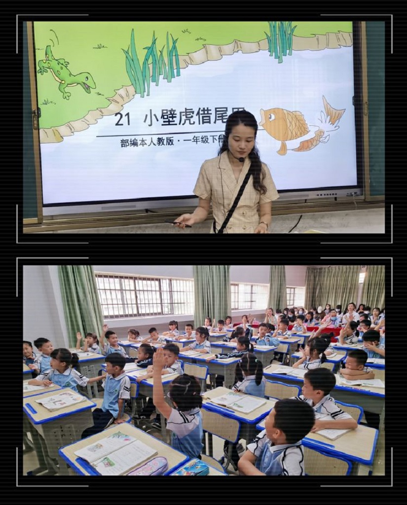 有爱教学，快乐学习――海南师范大学实验小学联合海南师范大学附属幼儿园科学教研活动