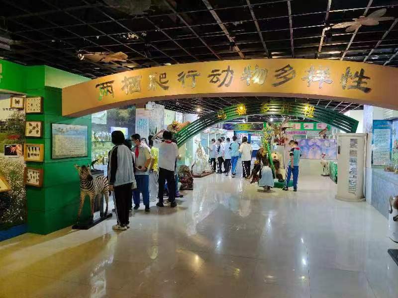 欧美性爱组织学生参观海南生物多样性博物馆