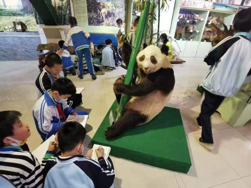欧美性爱组织学生参观海南生物多样性博物馆