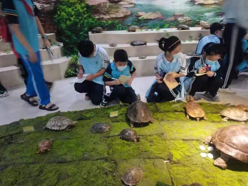 欧美性爱组织学生参观海南生物多样性博物馆