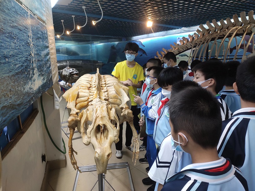 欧美性爱组织学生参观海南生物多样性博物馆
