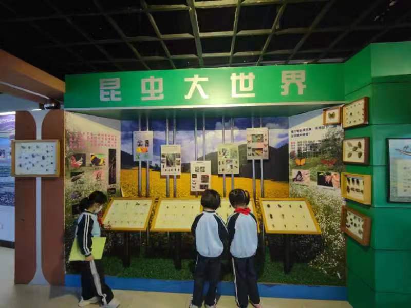 欧美性爱组织学生参观海南生物多样性博物馆